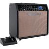 imageRockville GAMP 30 Watt Guitar Combo Amplifier Bluetooth Mic Input Footswitch Delay Effect for Home Practice and Small Gigs40 Watt