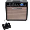 imageRockville GAMP 30 Watt Guitar Combo Amplifier Bluetooth Mic Input Footswitch Delay Effect for Home Practice and Small Gigs40 Watt