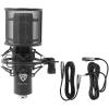imageRockville RCM PRO Professional Studio Condenser Microphone Samsung Capacitors Cardioid Pattern Shock Mount Included Large Diaphragm for Vocals and Podcasting