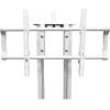 imageRockville RTP33TV Black Totem DJ SpeakerLighting Stand Detachable TV Mount Adjustable Height Stable Base for DJs and Event ProfessionalsWhite