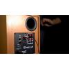 imageRockville Rock Shaker 8 Black 8quot Powered Subwoofer 400W Deep Bass ClassD Amp RCASpeaker Inputs for Home Theater ampamp StudioClassic Wood