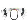 imageRockville SQ803 8 Channel 3 Foot 14 TRS Snake Cable Male to Male3 Foot