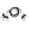 imageRockville SQ803 8 Channel 3 Foot 14 TRS Snake Cable Male to Male6 Foot